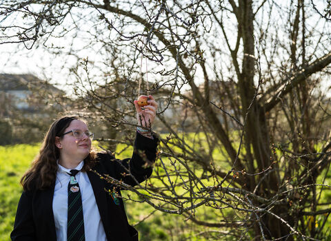 A teenage girl holding an apple which has been hung off a bare tree branch as a bird feeder. She is smiling at it